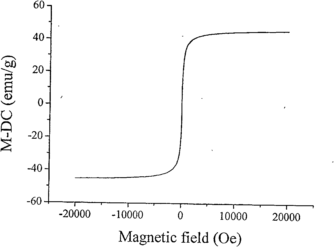 Chitose aquagel evoked original position synthesis of super-paramagnetism nano ferriferrous oxide particles