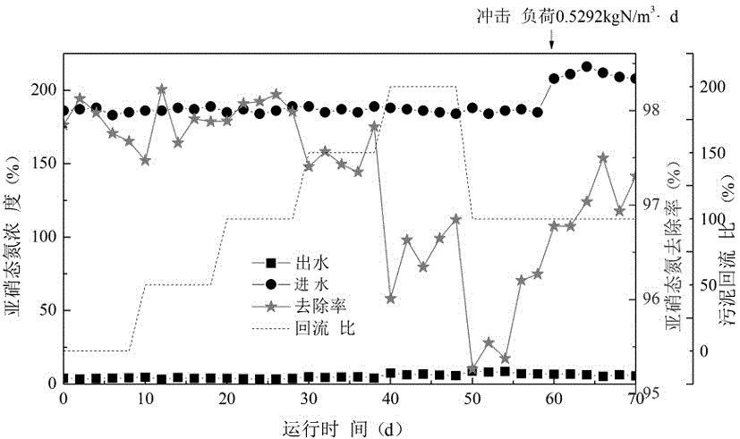 Method for enhancing formation speed of anaerobic ammoxidation granular sludge by controlling reflux ratio