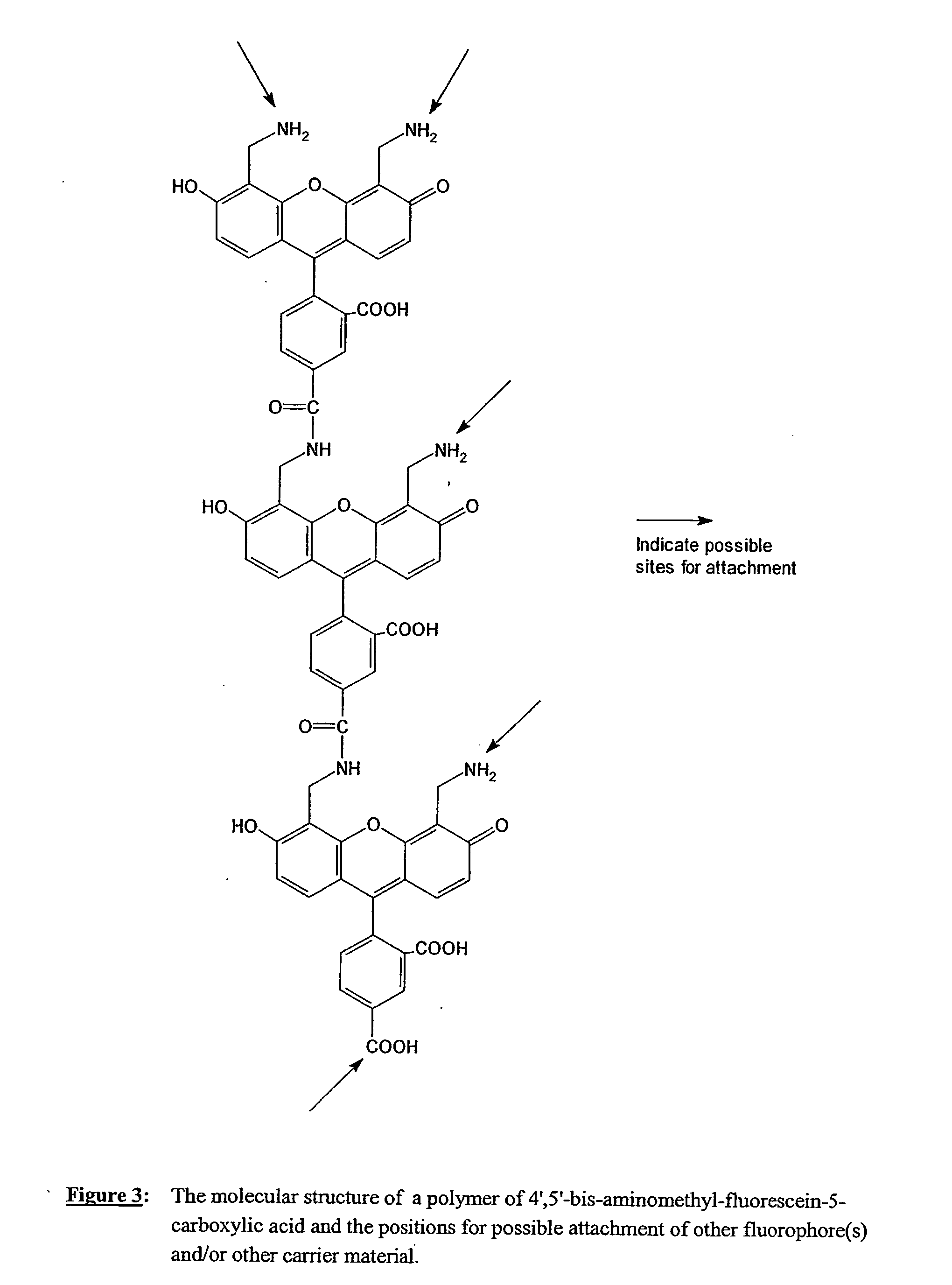 Fluorescent labeling reagents with multiple donors and acceptors