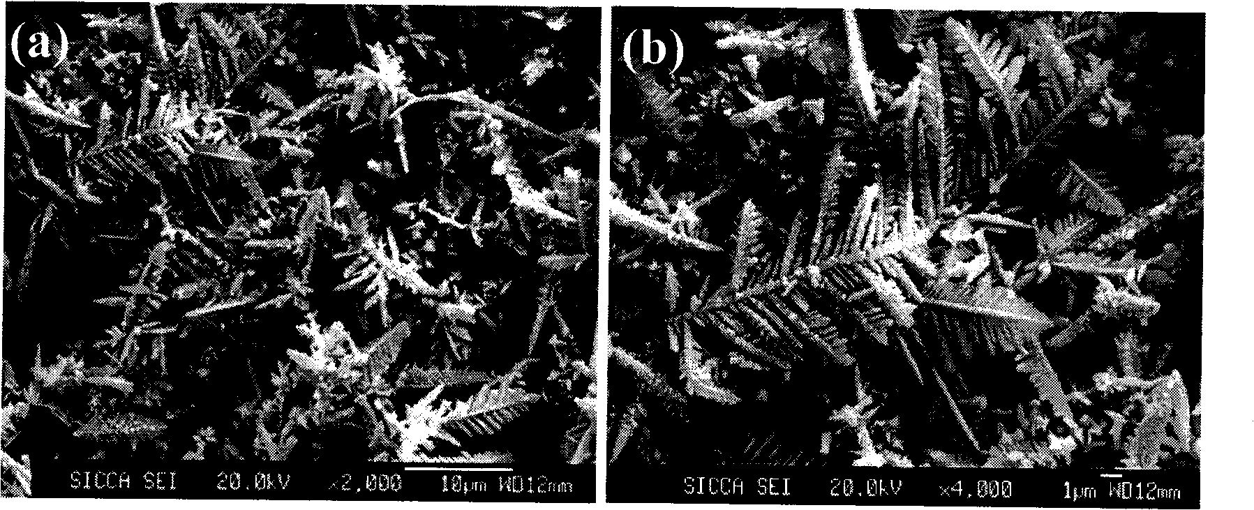 Cu dendritic single crystalline nano material and preparation method thereof