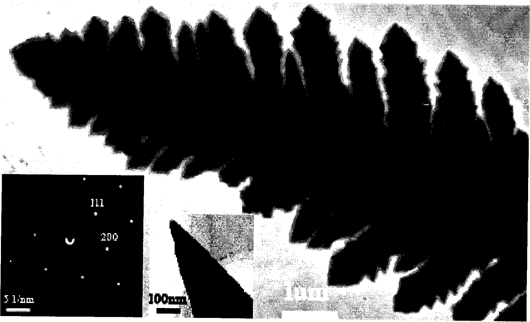 Cu dendritic single crystalline nano material and preparation method thereof