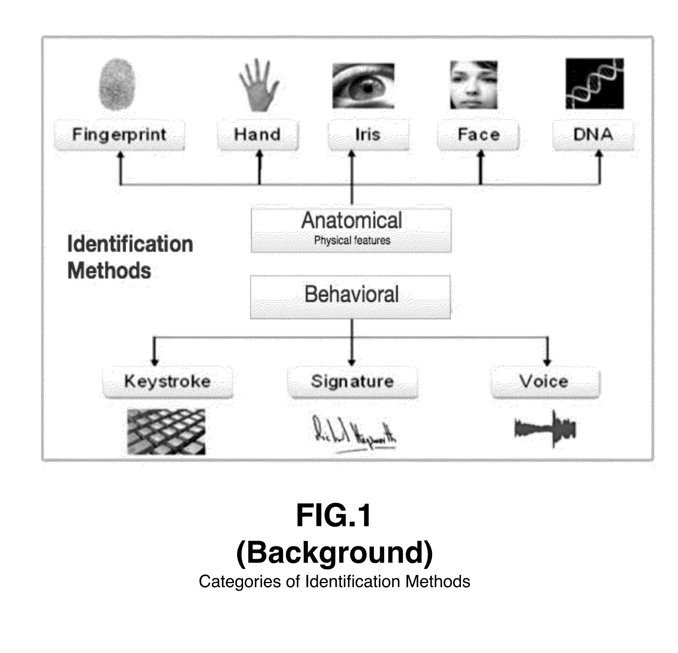 Local user authentication with neuro and neuro-mechanical fingerprints