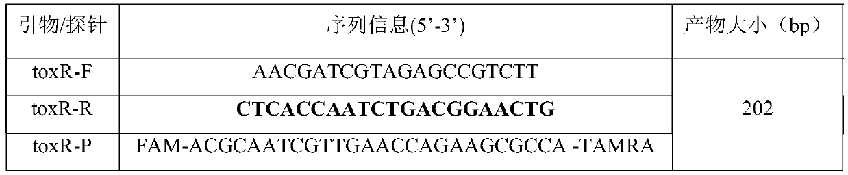 PMA-qPCR detection method of vibrio parahaemolyticus