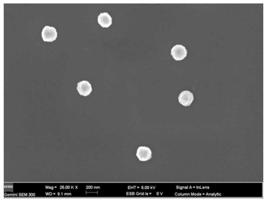 A kind of cisplatin ligand and its application in the preparation of tumor nano-diagnosis and treatment agent