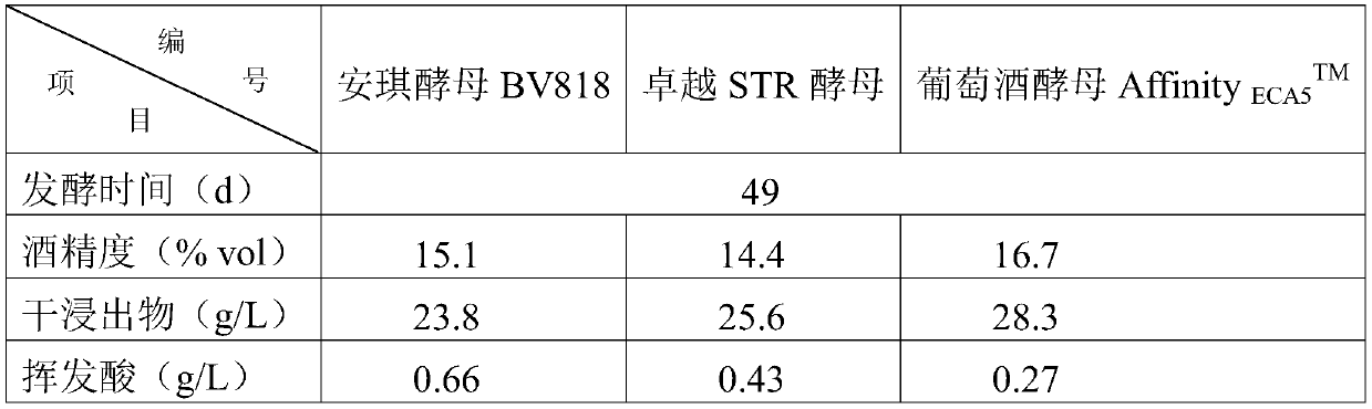 Fermented olive wine and preparation method thereof