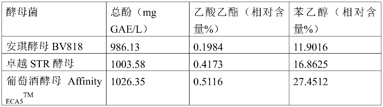 Fermented olive wine and preparation method thereof