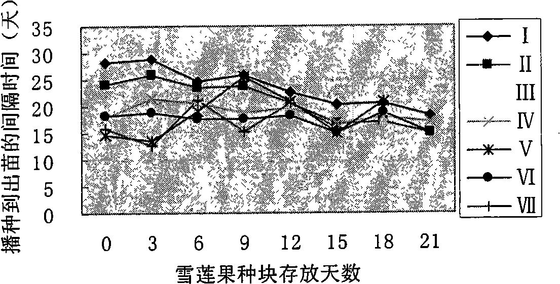 Method for optimizing seedling emergence and early growth vigor of root tuber and stem tuber replication material