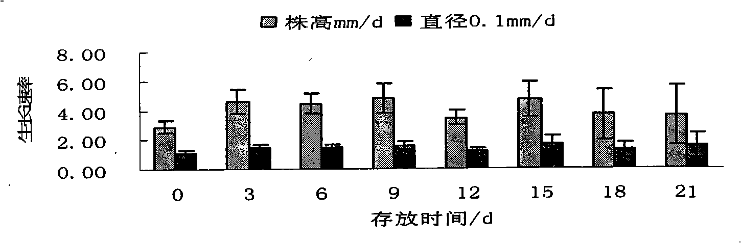 Method for optimizing seedling emergence and early growth vigor of root tuber and stem tuber replication material