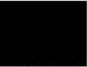 Hollow spherical rutile titanium dioxide mesocrystal and preparation method thereof