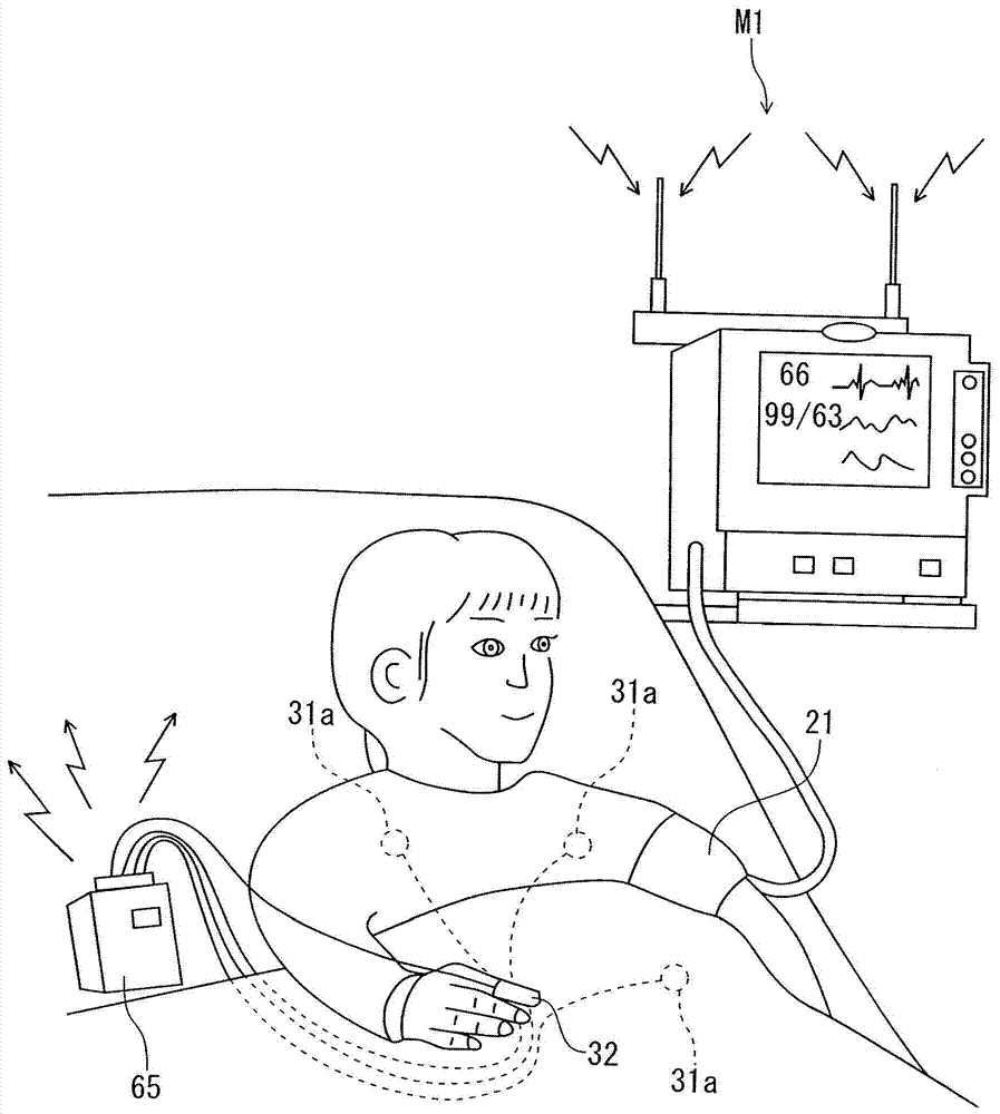 Blood volume measurement method and blood volume measurement device