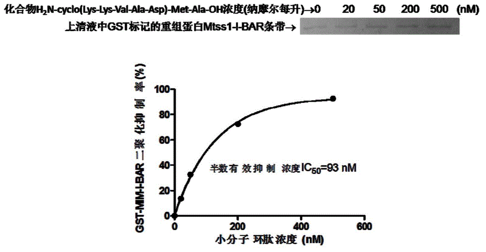 Metastatic tumor deletion protein small molecule cyclic peptide inhibitor and preparation method and application thereof