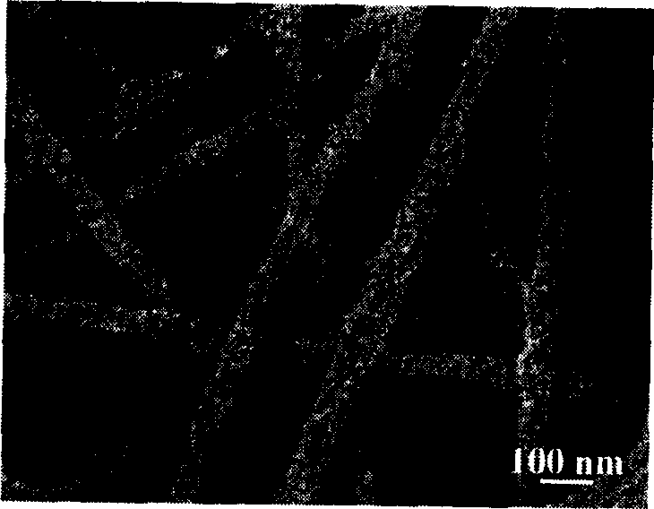 Super-hydrophotic magnetic carbon film, its preparing method and use