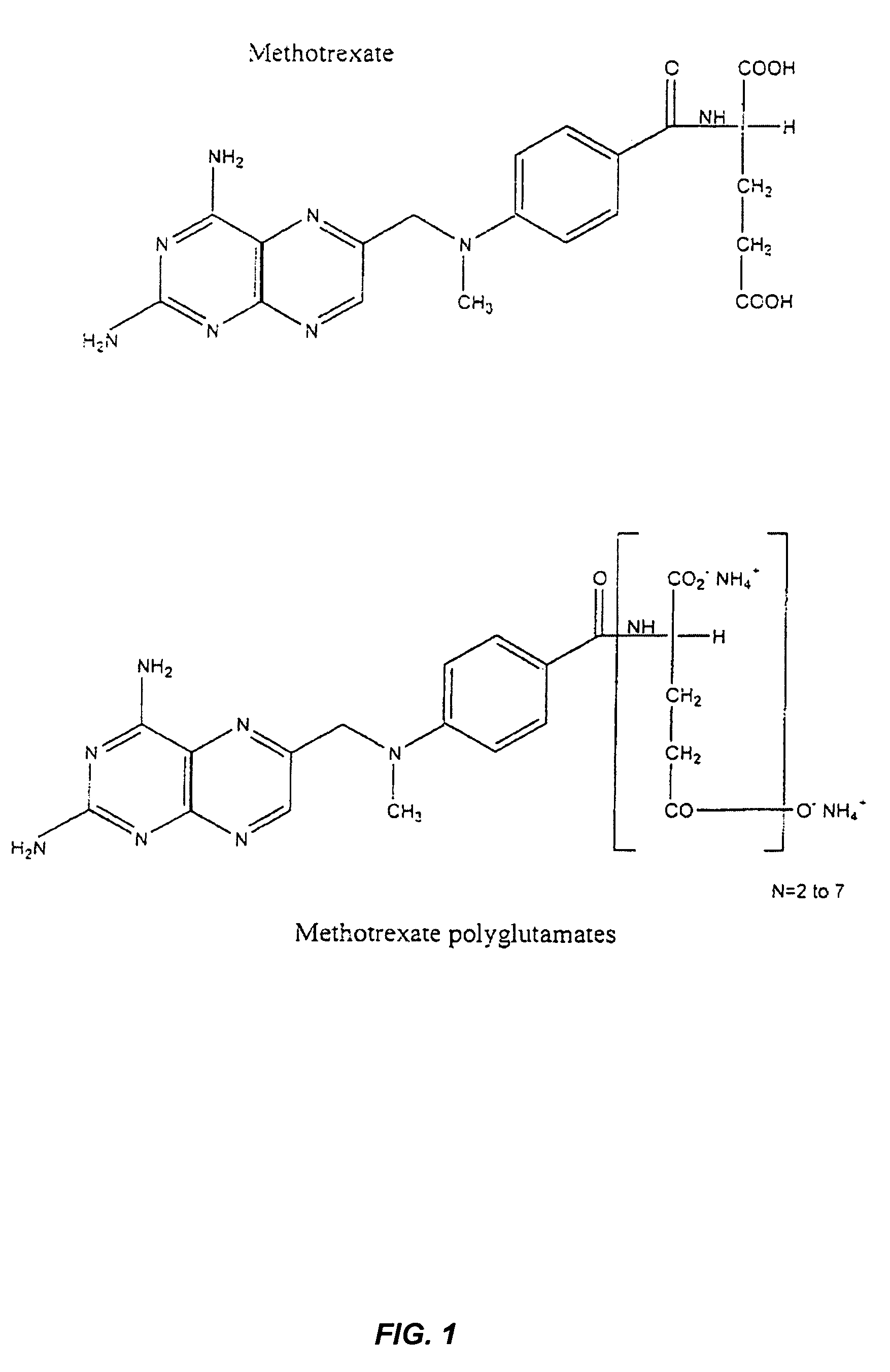 Methods for predicting methotrexate polyglutamate levels using pharmacogenetics