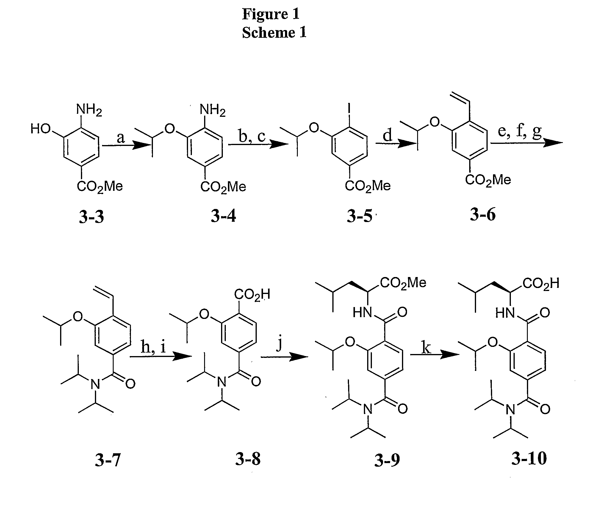 Terephthalamide peptidomimetic compounds and methods