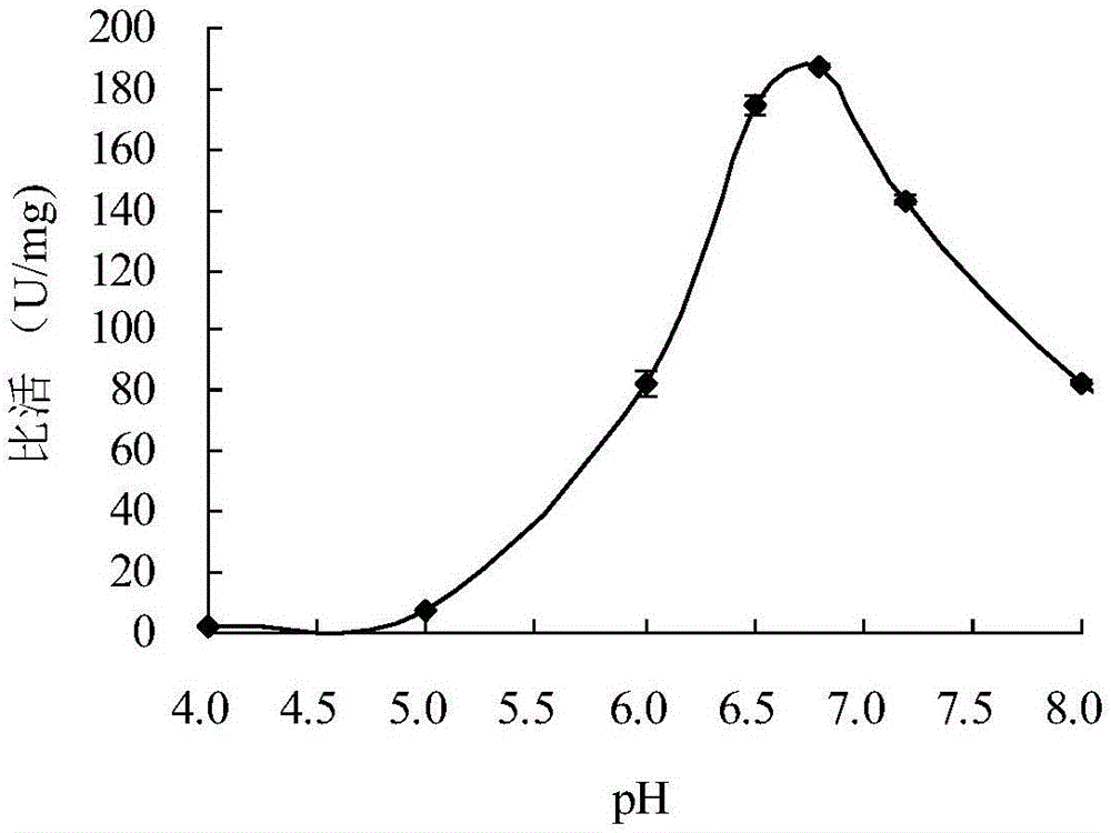 Neutral low-temperature xylosidase CaXyl43A and gene and application thereof