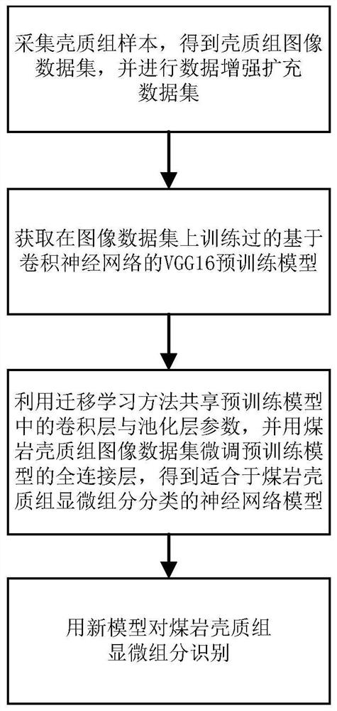 Coal rock chitin group microscopic image classification method and system based on transfer learning