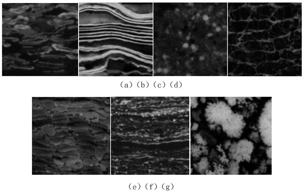 Coal rock chitin group microscopic image classification method and system based on transfer learning