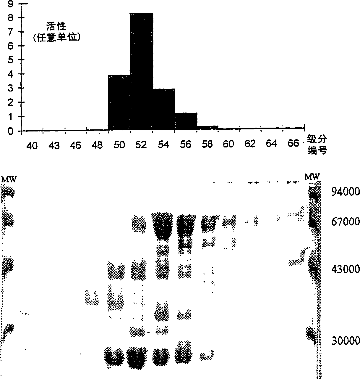 Epoxide hydrolase