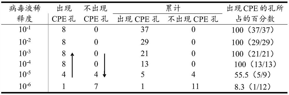 Method for detecting IFA neutralizing antibody of PCV2