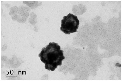 Gold nanostar @ gold-silver alloy Raman base material with high activity and preparation method thereof