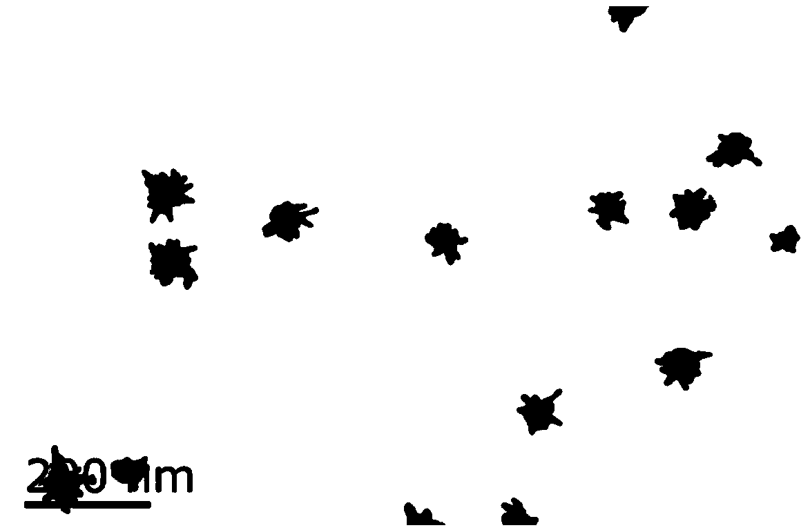 Gold nanostar @ gold-silver alloy Raman base material with high activity and preparation method thereof