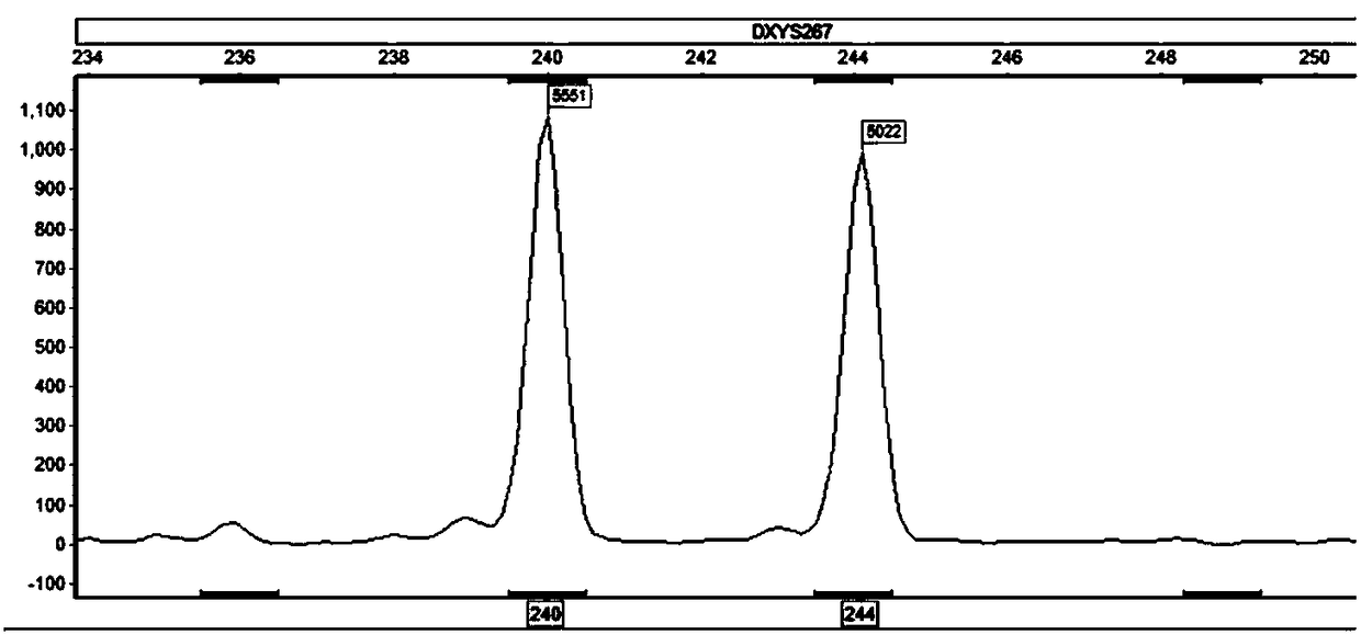 Amplification composition for detecting numerical abnormalities of chromosomes and fast detection kit