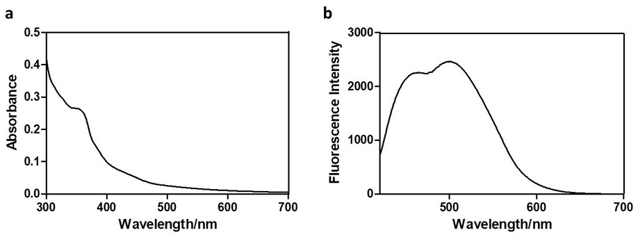 MiRNA delivery system verification method