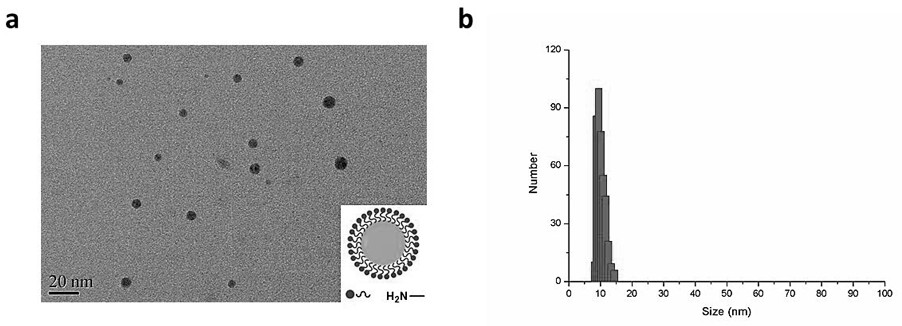 MiRNA delivery system verification method