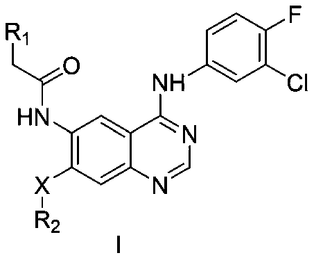 Quinazoline derivative serving as EGFR inhibitor and application of derivative