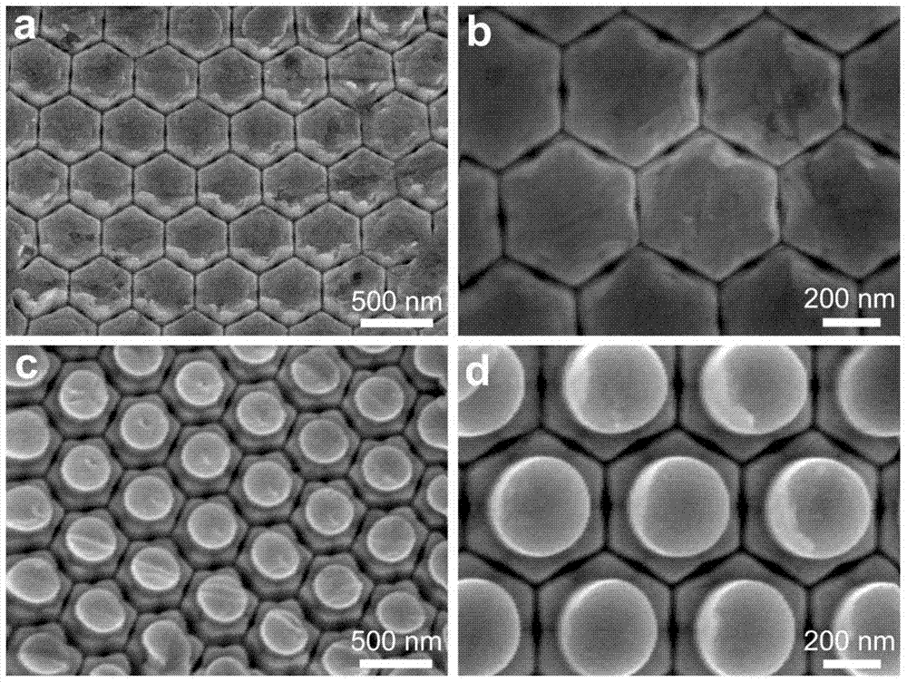 Noble metal ordered nanostructure array and its preparation method and use