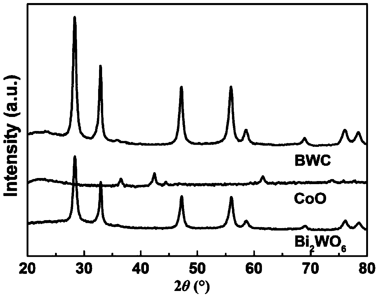 3D flower-like Bi2WO6@CoO heterojunction photocatalyst as well as preparation method and application thereof