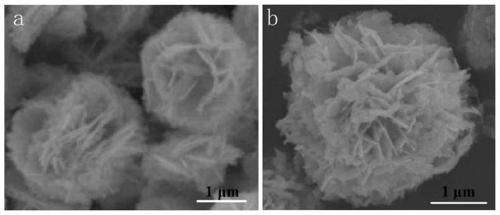 3D flower-like Bi2WO6@CoO heterojunction photocatalyst as well as preparation method and application thereof