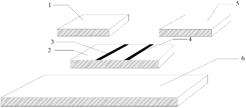 Kit for fluorescence quantitative detection of salbutamol and preparation method of fluorescence labeling liquid