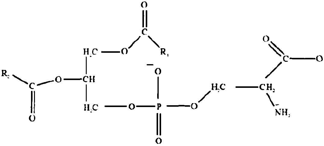 Novel functional soft sweets and preparation method thereof