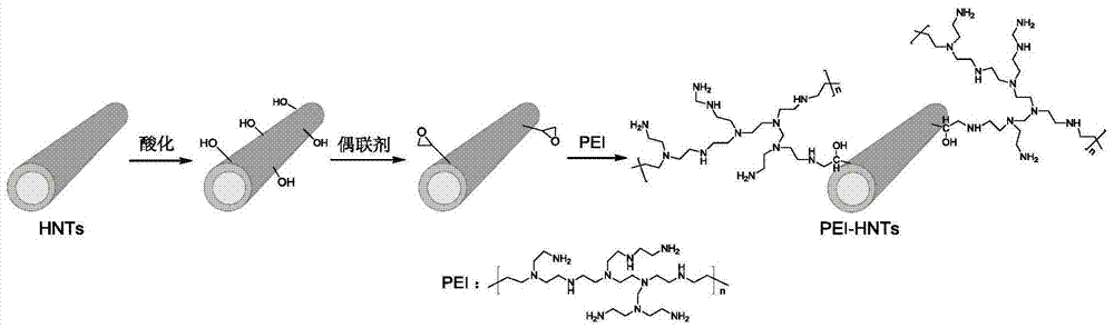 A kind of halloysite nanotube/epoxy resin nanocomposite material