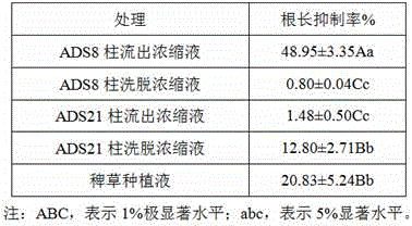 Inductive substance for improving rice allelopathy extracted from secretion solution of barnyard grass