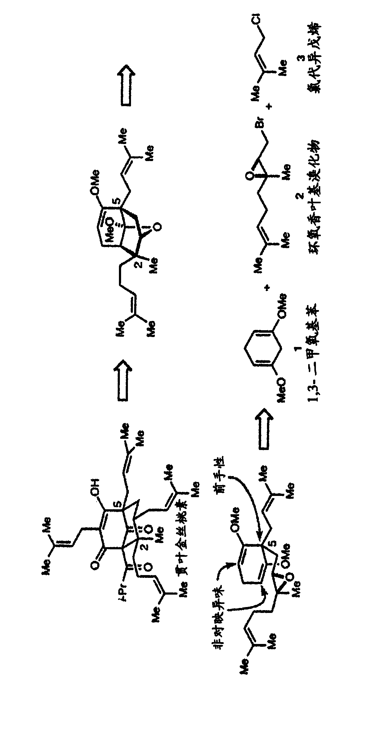 Hyperforin analogs, methods of synthesis, and uses thereof