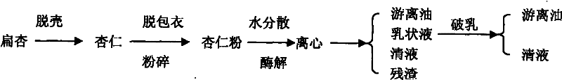 Biological method for extracting grease from flat almond