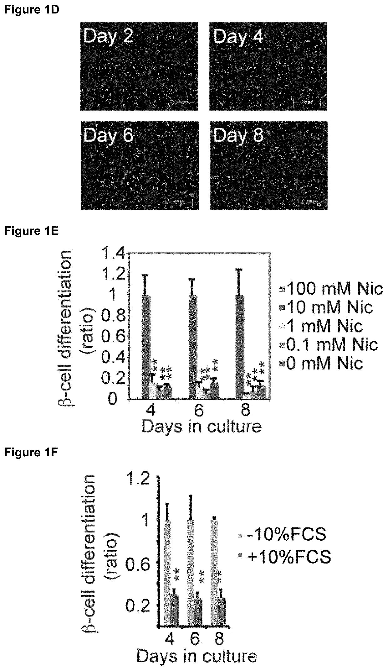 Method for generating mature β-like cells