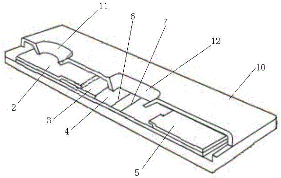 Detection card for serotype O foot and mouth disease virus antibody and preparation method of detection card