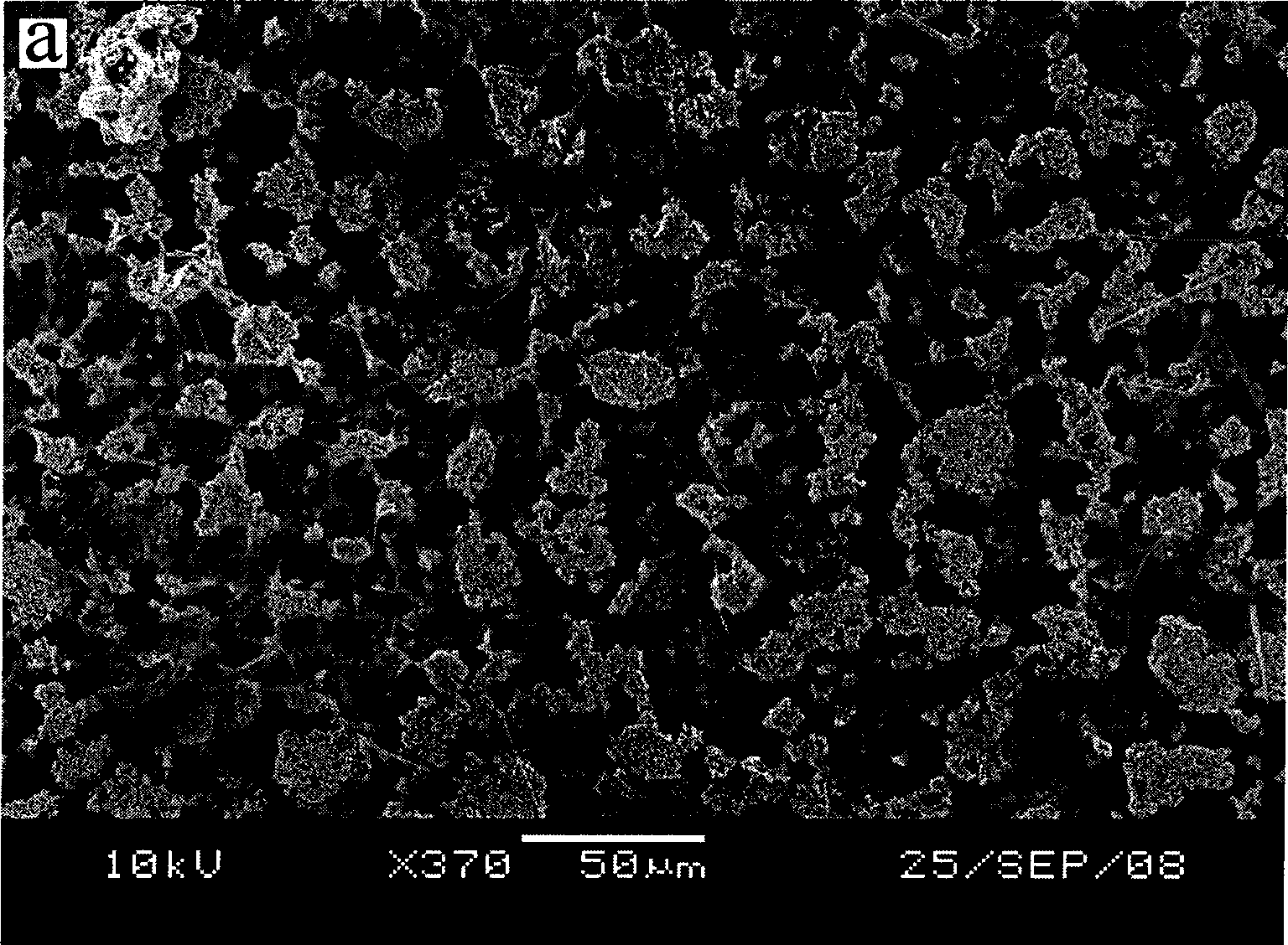 Nickel protoxide / silicon nano-wire and use thereof for preparing integrated super capacitor electrode material