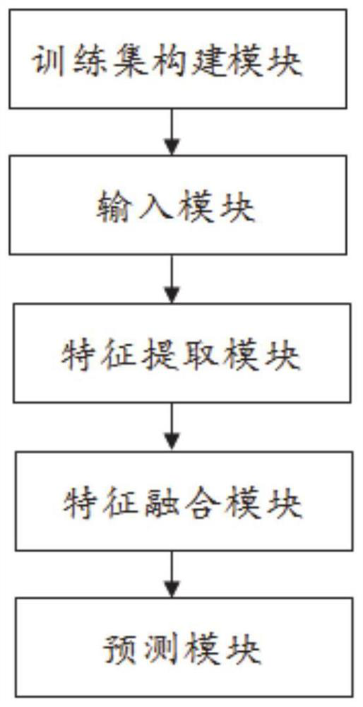 Micropapilla detection system based on YOLOv5