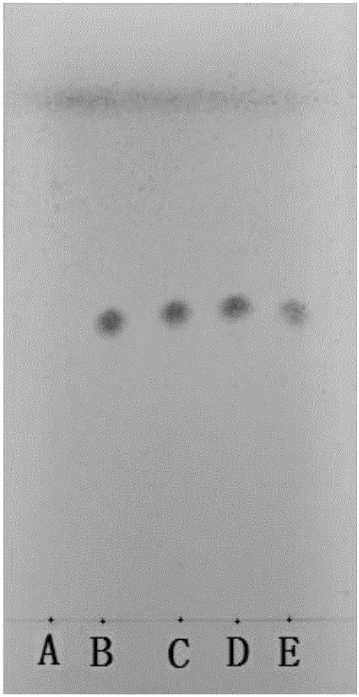 Quality standard detection method for 20(R)-ginsenoside Rg3