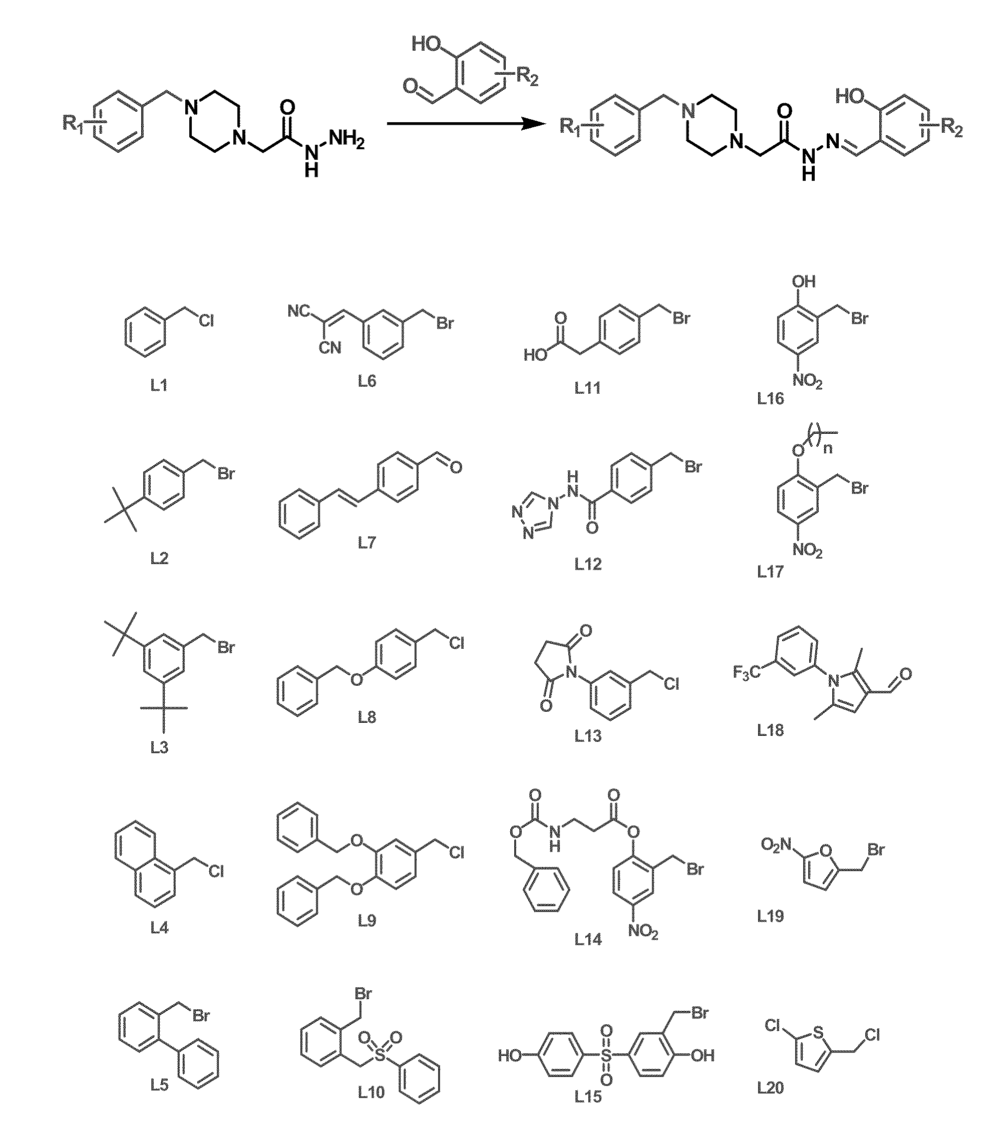 Compositions and Methods Including Cell Death Inducers and Procaspase Activation