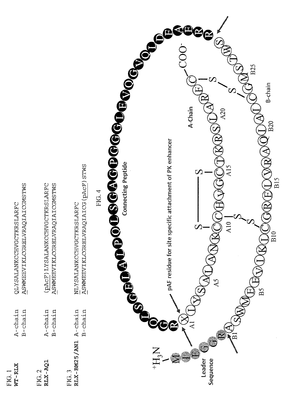 Modified relaxin polypeptides comprising a pharmacokinetic enhancer and uses thereof