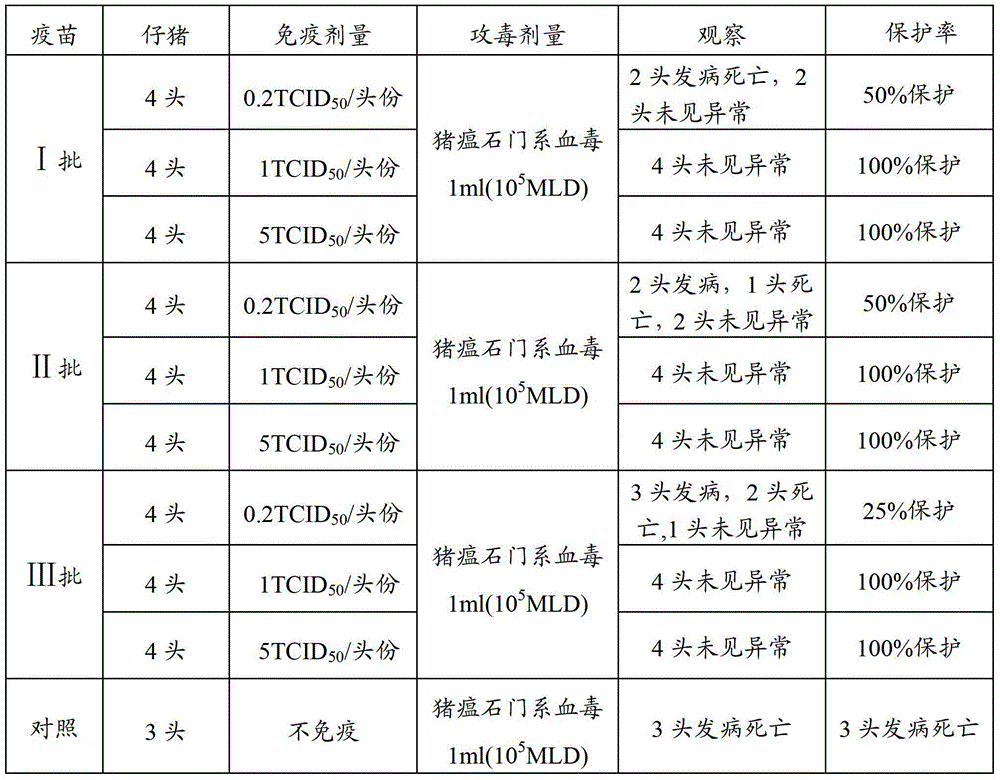 Method for detecting efficacy of classical swine fever live vaccines