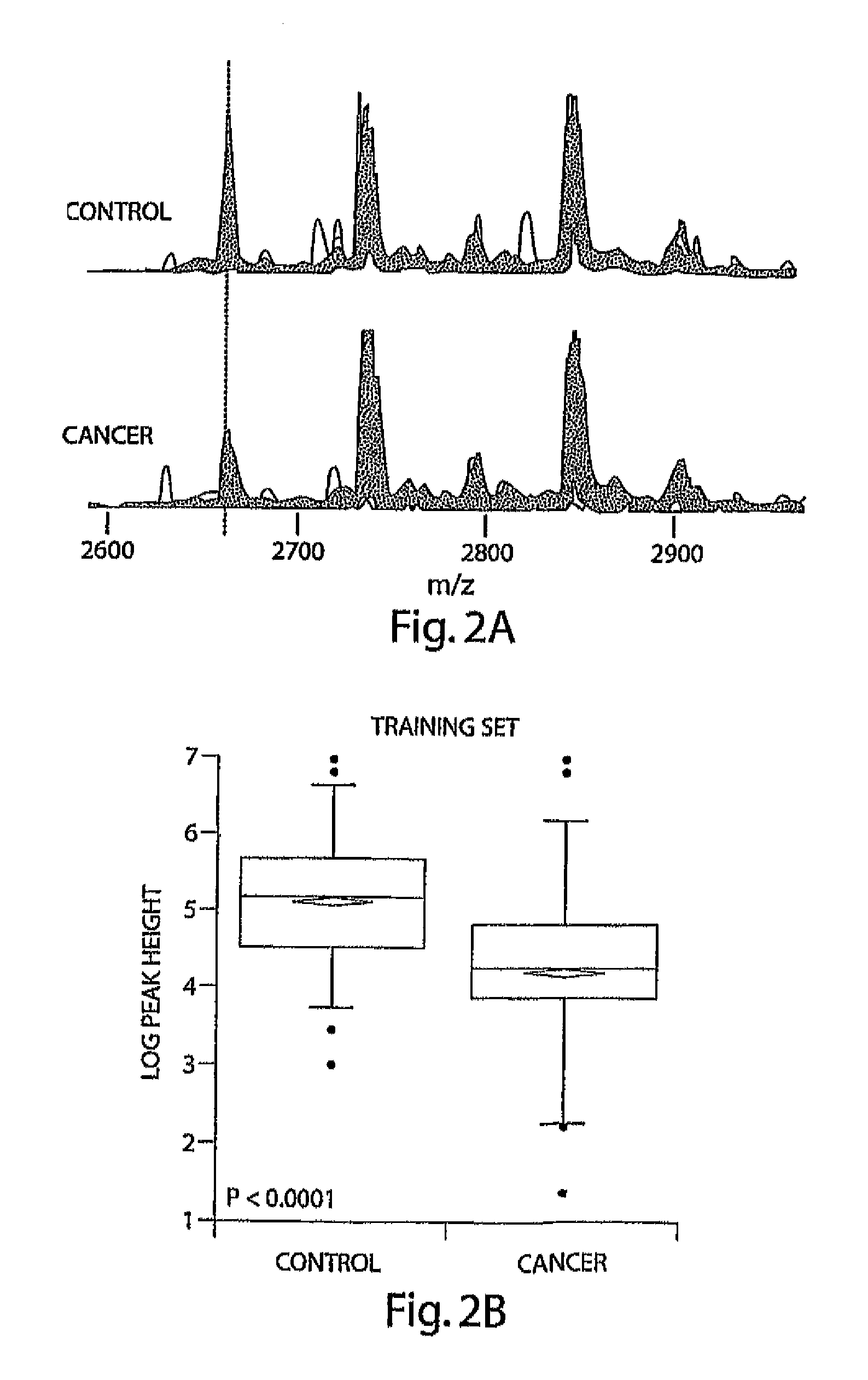 Fibrinogen alpha and hemoglobin polypeptides as cancer markers