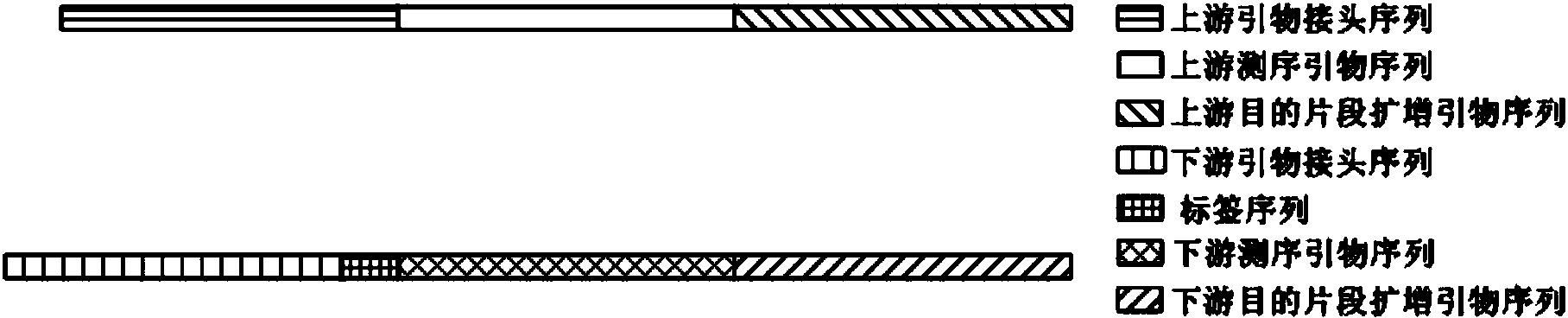 Primer applied to amplicon sequencing library construction and method for constructing amplicon sequencing library