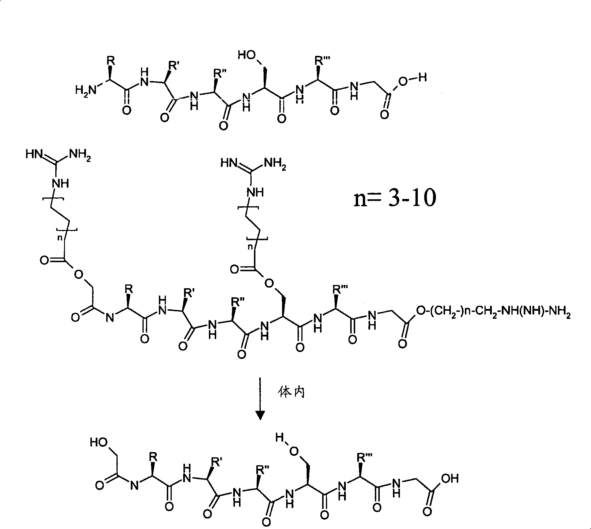 Means and methods of enhancing delivery to biological systems