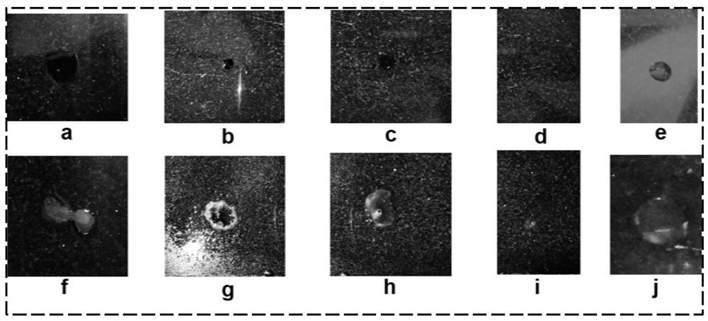 Compound reagent for portable occult blood trace appearing as well as preparation method and using method of compound reagent